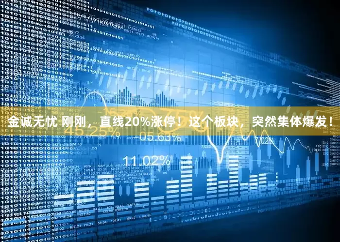 金诚无忧 刚刚，直线20%涨停！这个板块，突然集体爆发！