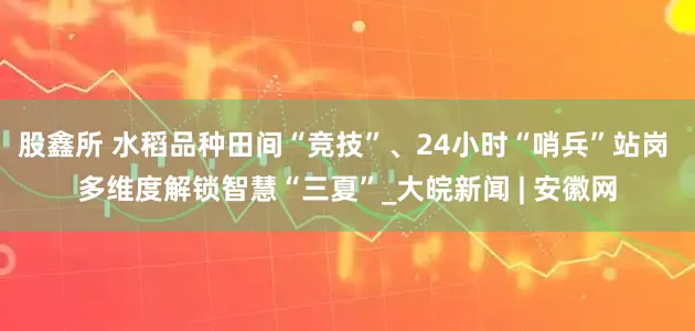 股鑫所 水稻品种田间“竞技”、24小时“哨兵”站岗 多维度解锁智慧“三夏”_大皖新闻 | 安徽网