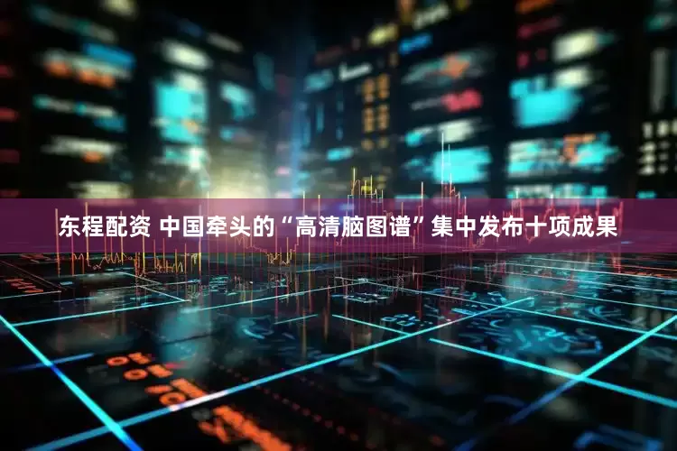 东程配资 中国牵头的“高清脑图谱”集中发布十项成果