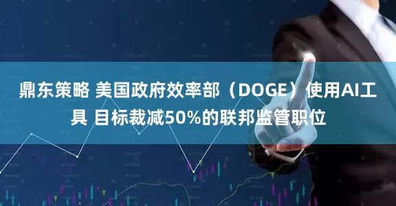 鼎东策略 美国政府效率部（DOGE）使用AI工具 目标裁减50%的联邦监管职位