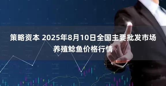 策略资本 2025年8月10日全国主要批发市场养殖鲶鱼价格行情