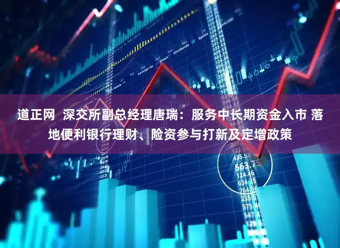 道正网  深交所副总经理唐瑞：服务中长期资金入市 落地便利银行理财、险资参与打新及定增政策