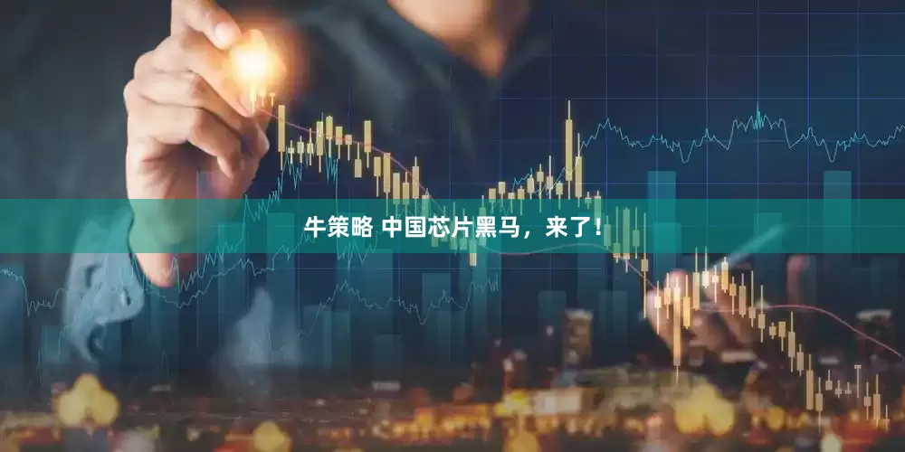 牛策略 中国芯片黑马，来了！