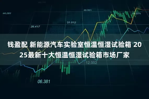 钱盈配 新能源汽车实验室恒温恒湿试验箱 2025最新十大恒温恒湿试验箱市场厂家