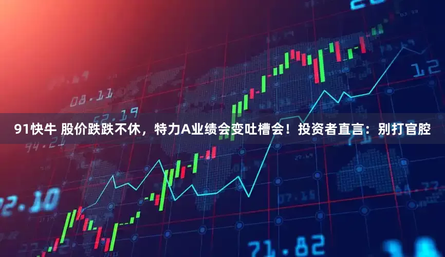 91快牛 股价跌跌不休，特力A业绩会变吐槽会！投资者直言：别打官腔